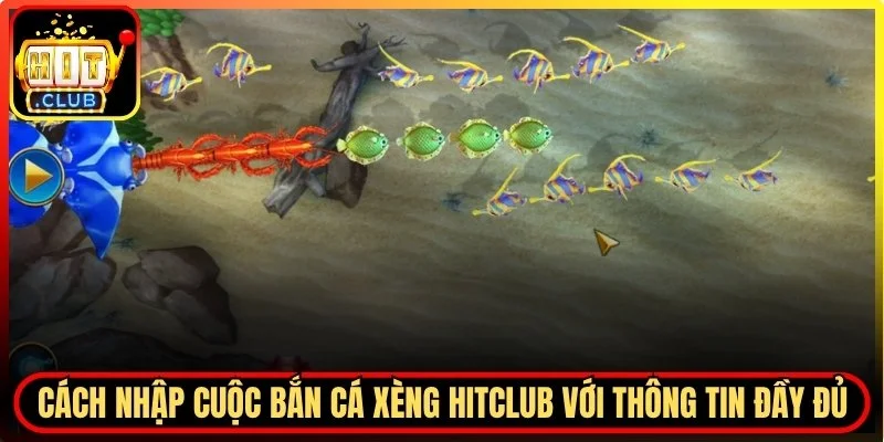Bắn Cá Xèng Hitclub – Điểm Đến Của Những Cuộc Săn Hấp Dẫn
