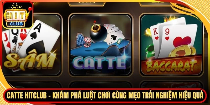 Catte hitclub kham pha luat choi cung meo trai nghiem hieu qua