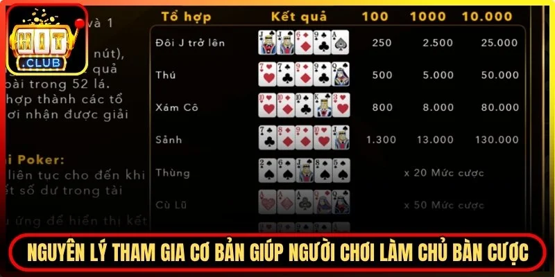 Nguyên lý tham gia cơ bản giúp người tham gia làm chủ bàn cược