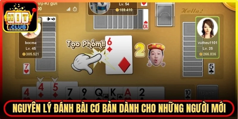 Nguyên lý đánh bài cơ bản dành cho những người mới bắt đầu