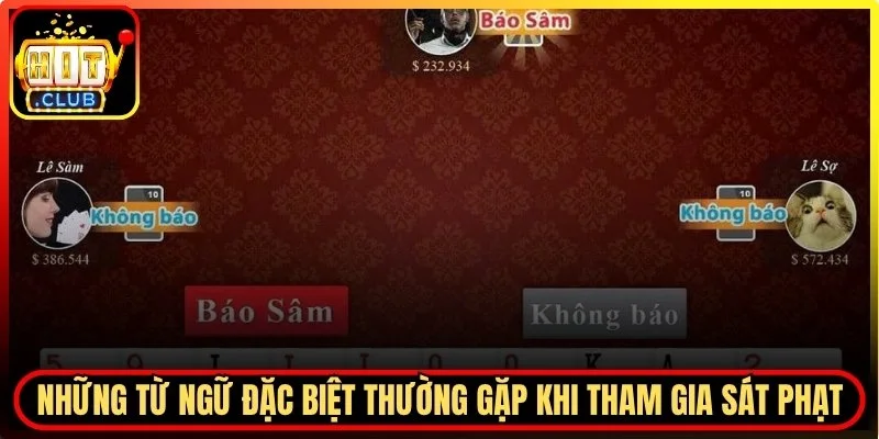 Những từ ngữ đặc biệt thường gặp khi tham gia sát phạt