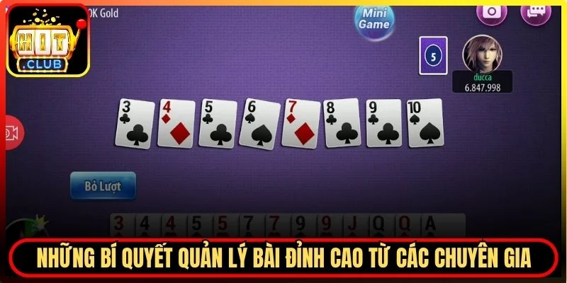 Những bí quyết quản lý bài đỉnh cao từ các chuyên gia lâu năm