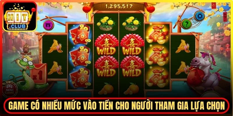 Nhiều mức vào tiền cho người tham gia lựa chọn