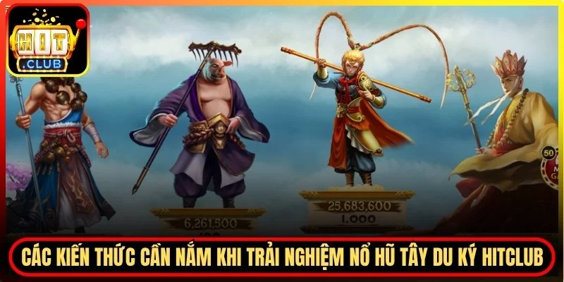 Các kiến thức cần nắm khi trải nghiệm